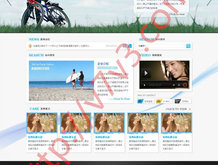 曾道免费资料大全正版使用方法